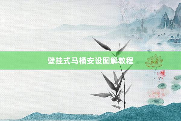 壁挂式马桶安设图解教程